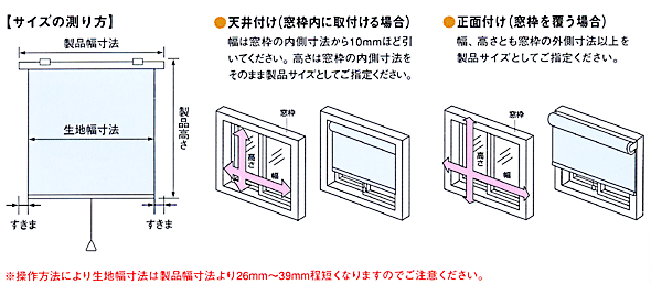 TCY̑